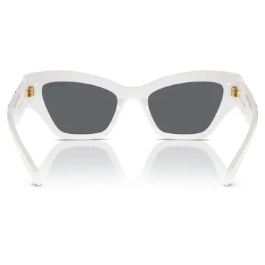 SWAROVSKI SK6021/105087/53