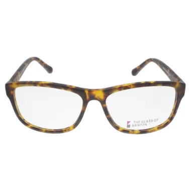 BRIXTON BF0048/C2/54-15-140