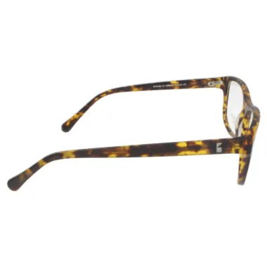 BRIXTON BF0048/C2/54-15-140